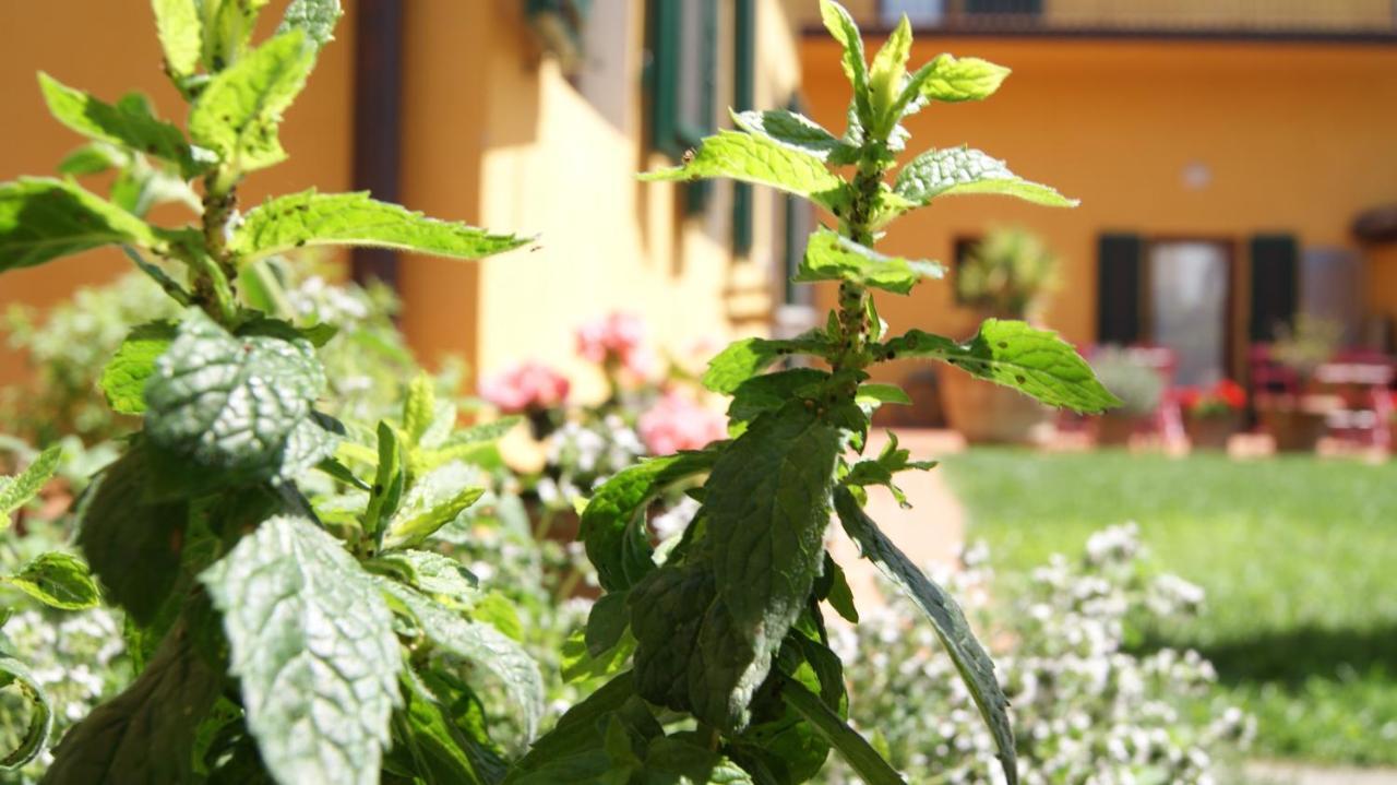 Al Canto B&B Florenz Exterior foto